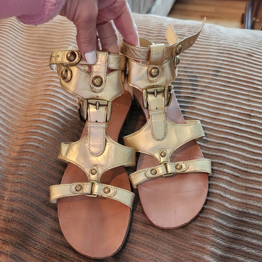 Gold Gladiators EUC